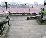 Espallier steps