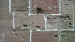 East gable of Dunkeld Cathedral showing the marks which are said to be impacts from musket balls used in the battle.