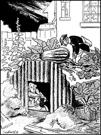 Anderson Shelter