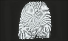 fingerprint