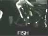 Fanny's fish.