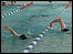 Swimming at Beau Sejour