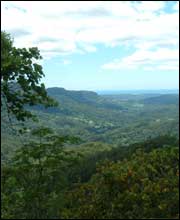 Lamington national park
