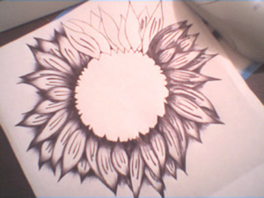 My SunFlower