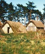 Hut