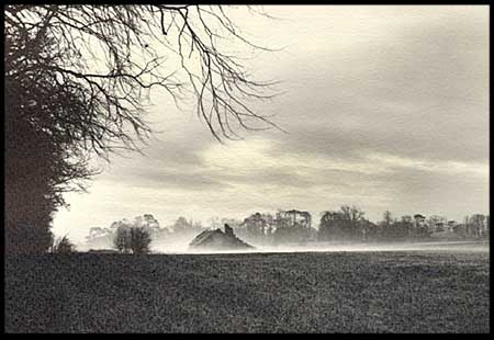 Trees surround an old farmworker's cottage on the Moyola estate near Knockloughrim
