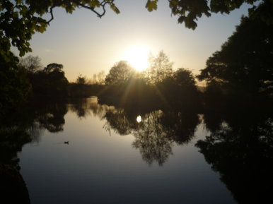 tarn