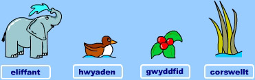 cadwyn fwyd