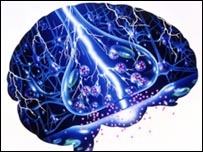 gráfico cerebral