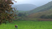 A luscious green valley