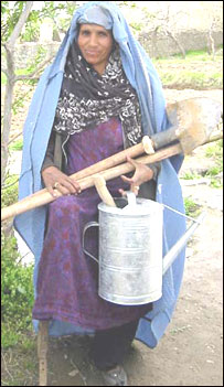معيوبه ښځې اوکار