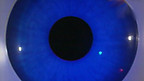 How the Eye Works