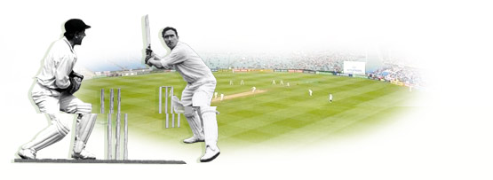 cricket