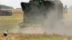сбор урожая
