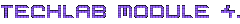 Techlab Module 4