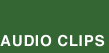 Audio Clips