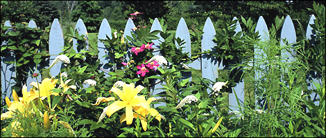 Secure that garden fence