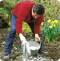 Lime can be applied if your pH test indicates that it is needed - but don't overdo it!