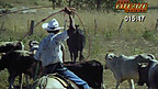Costa Rica Ranch