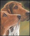 Artwork by Helen Harnett