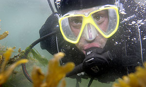Waterworld