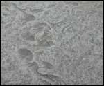 Pavement patterns