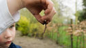 Worms © Fotolia XIII - Fotolia.com