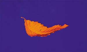 True Faith by Peter Saville