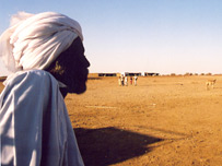 Man in the desert