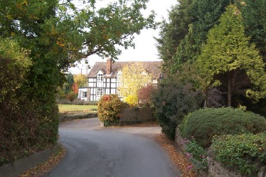 Autumn