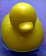 A rubber duck in training