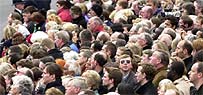 Crowd