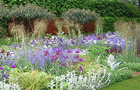 The Daily Telegraph garden