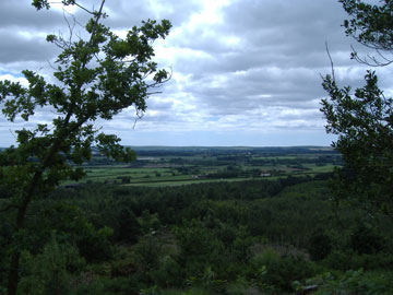 view of Egdon Heath