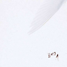 Review of jj n° 3