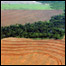 Desmatamento na Amazônia (Foto: Greenpeace)