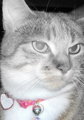 Milly May