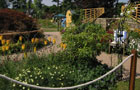 The Well Garden