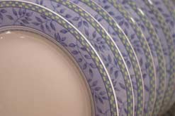 Dinner plates