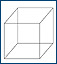 The necker cube