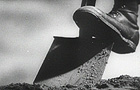 Image: Dig for victory campaign