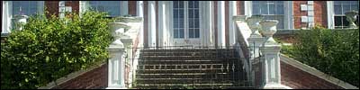 The steps