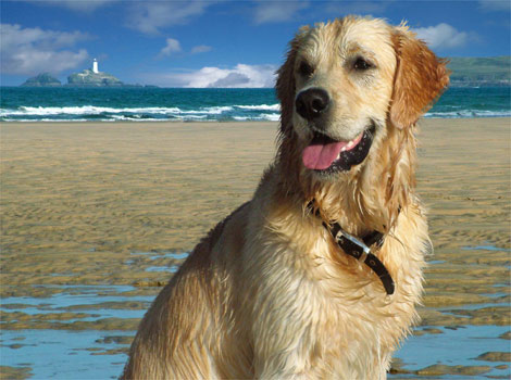 Baxter