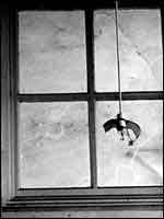 Photograph by Peter Corkhill
