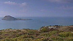 Ynys Enlli