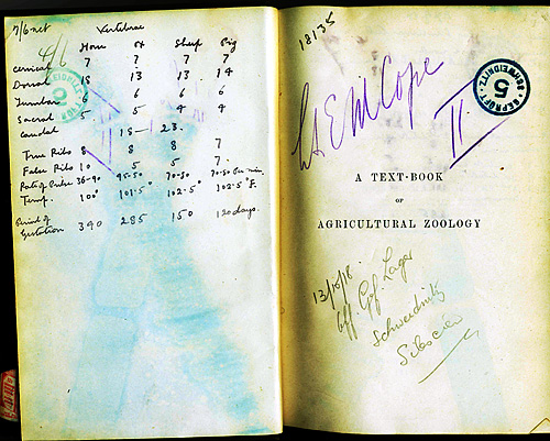 pow book