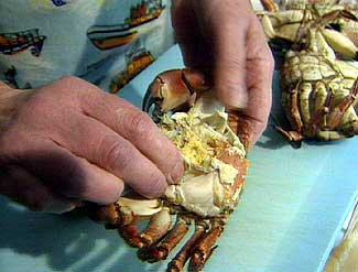 Cromer crabs.