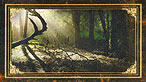 Woodland