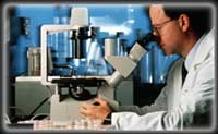 Professor Hal Broxmeyer developed the technique behind cord blood transplant