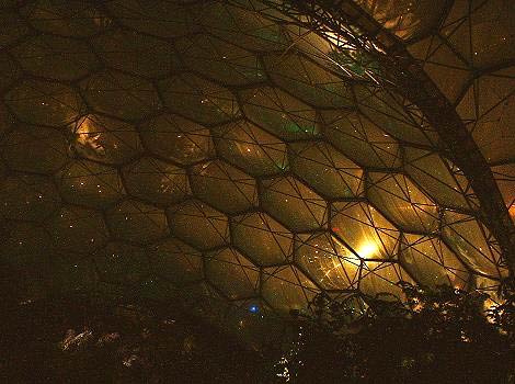 Eden at night